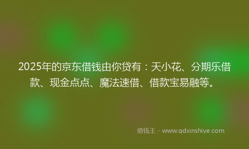 2025年的京东借钱由你贷有：天小花、分期乐借款、现金点点、魔法速借、借款宝易融等。