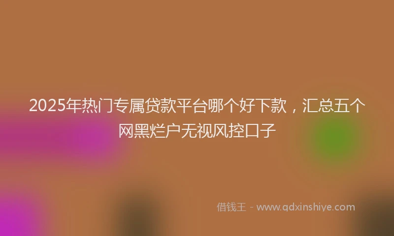 2025年热门专属贷款平台哪个好下款，汇总五个网黑烂户无视风控口子
