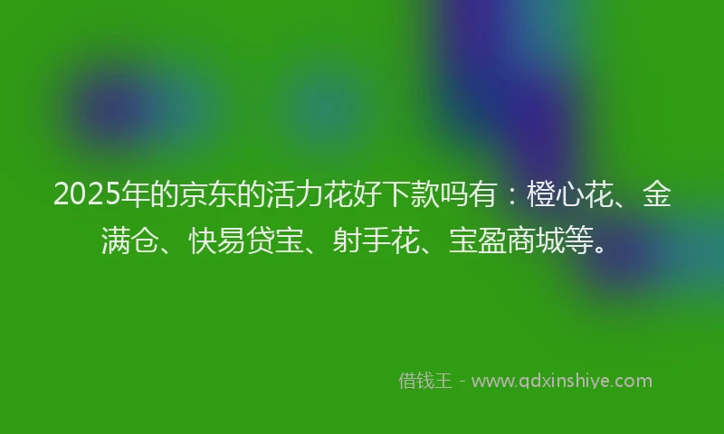 2025年的京东的活力花好下款吗有：橙心花、金满仓、快易贷宝、射手花、宝盈商城等。