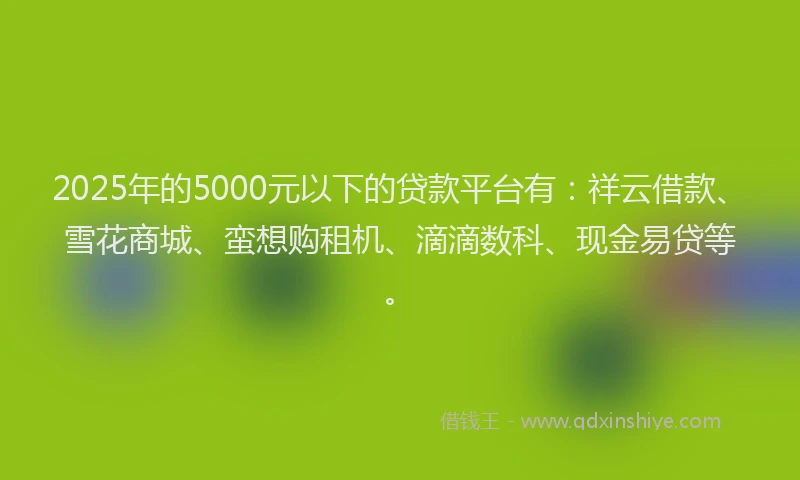 2025年的5000元以下的贷款平台有：祥云借款、雪花商城、蛮想购租机、滴滴数科、现金易贷等。