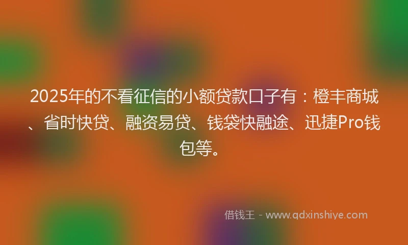 2025年的不看征信的小额贷款口子有：橙丰商城、省时快贷、融资易贷、钱袋快融途、迅捷Pro钱包等。