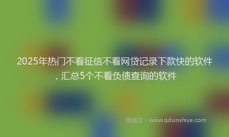 2025年热门不看征信不看网贷记录下款快的软件，汇总5个不看负债查询的软件