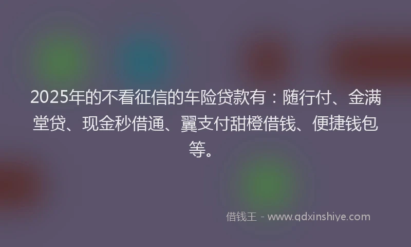 2025年的不看征信的车险贷款有：随行付、金满堂贷、现金秒借通、翼支付甜橙借钱、便捷钱包等。