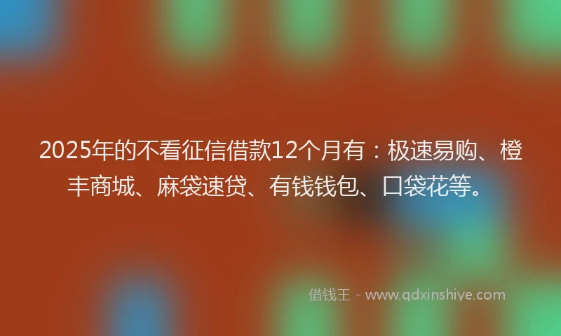 2025年的不看征信借款12个月有：极速易购、橙丰商城、麻袋速贷、有钱钱包、口袋花等。