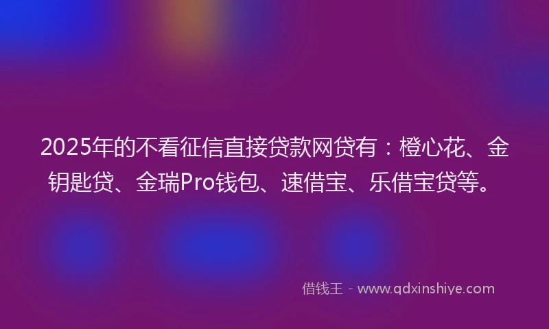 2025年的不看征信直接贷款网贷有：橙心花、金钥匙贷、金瑞Pro钱包、速借宝、乐借宝贷等。