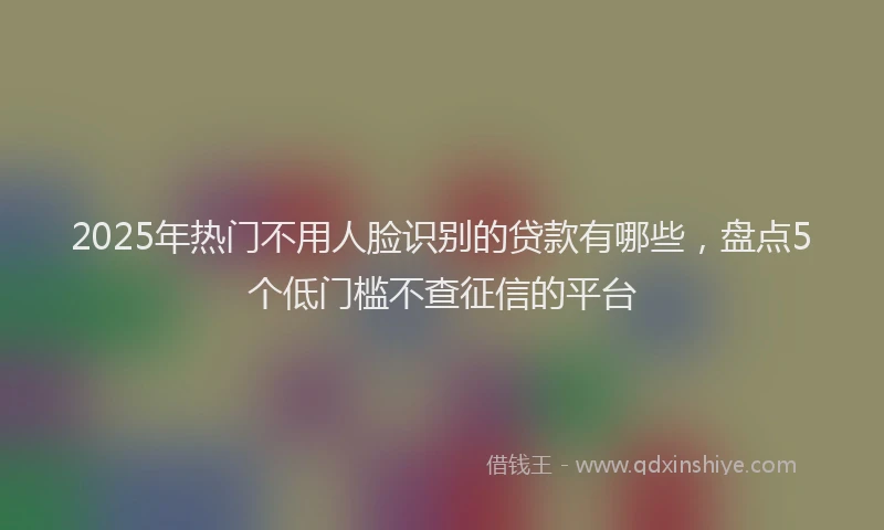 2025年热门不用人脸识别的贷款有哪些，盘点5个低门槛不查征信的平台
