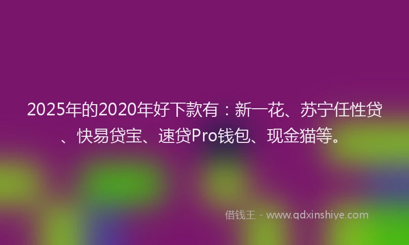2025年的2020年好下款有：新一花、苏宁任性贷、快易贷宝、速贷Pro钱包、现金猫等。