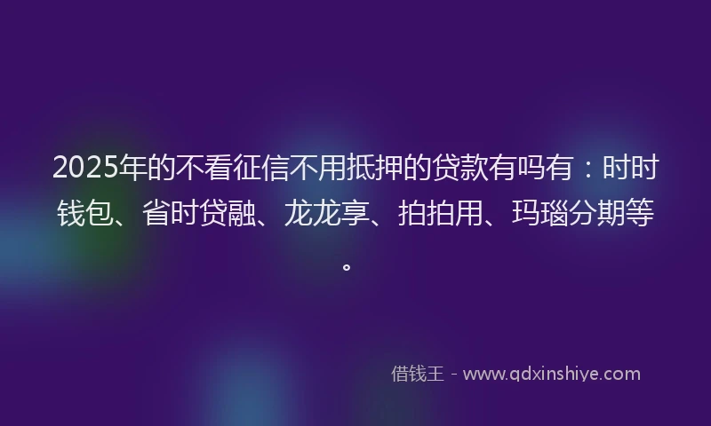 2025年的不看征信不用抵押的贷款有吗有：时时钱包、省时贷融、龙龙享、拍拍用、玛瑙分期等。