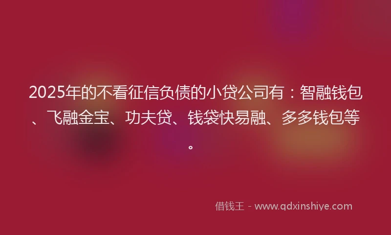 2025年的不看征信负债的小贷公司有：智融钱包、飞融金宝、功夫贷、钱袋快易融、多多钱包等。