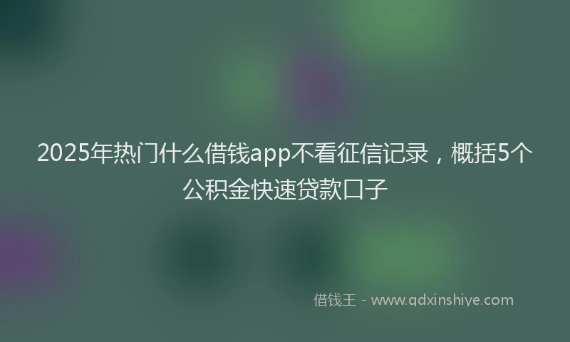 2025年热门什么借钱app不看征信记录，概括5个公积金快速贷款口子