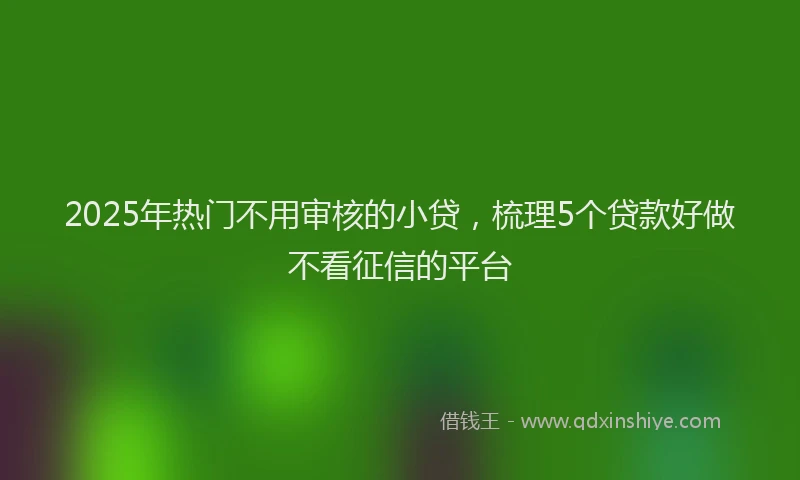 2025年热门不用审核的小贷，梳理5个贷款好做不看征信的平台