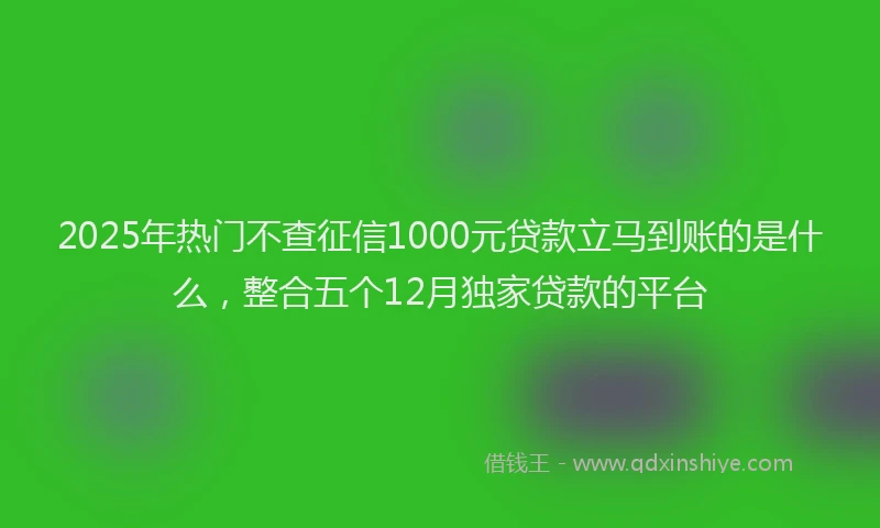 2025年热门不查征信1000元贷款立马到账的是什么，整合五个12月独家贷款的平台