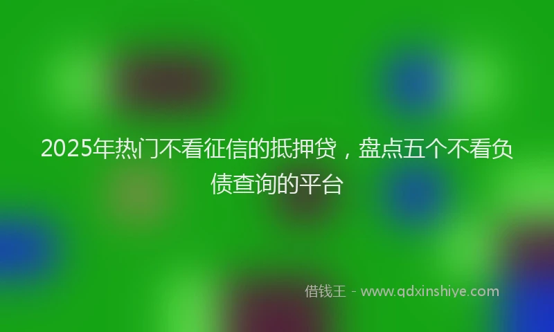 2025年热门不看征信的抵押贷，盘点五个不看负债查询的平台