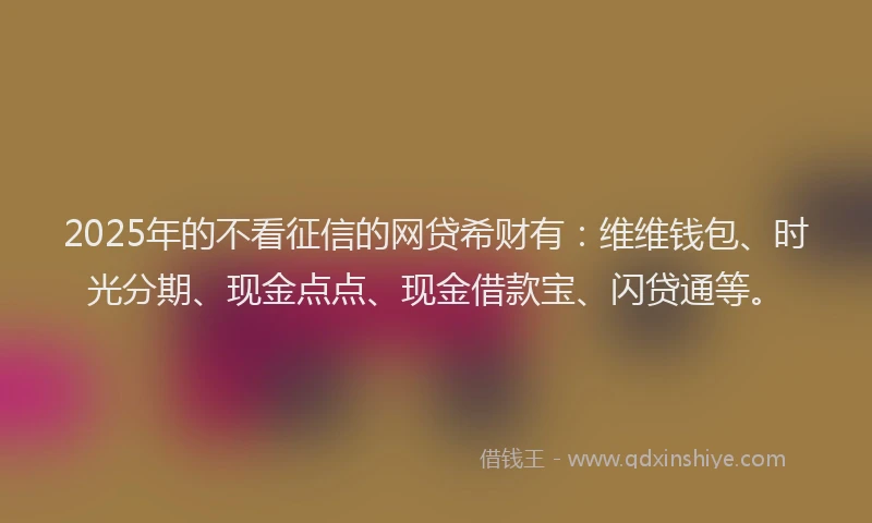 2025年的不看征信的网贷希财有：维维钱包、时光分期、现金点点、现金借款宝、闪贷通等。