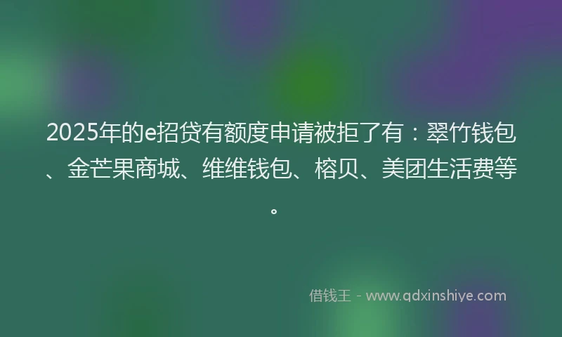 2025年的e招贷有额度申请被拒了有：翠竹钱包、金芒果商城、维维钱包、榕贝、美团生活费等。