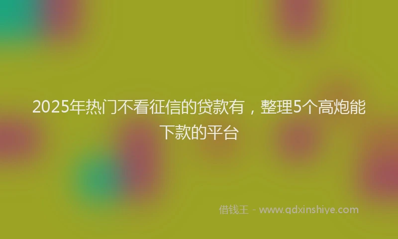 2025年热门不看征信的贷款有，整理5个高炮能下款的平台