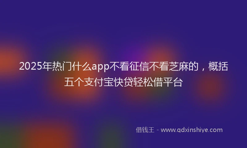 2025年热门什么app不看征信不看芝麻的，概括五个支付宝快贷轻松借平台
