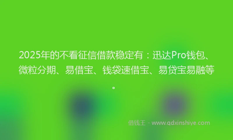 2025年的不看征信借款稳定有：迅达Pro钱包、微粒分期、易借宝、钱袋速借宝、易贷宝易融等。
