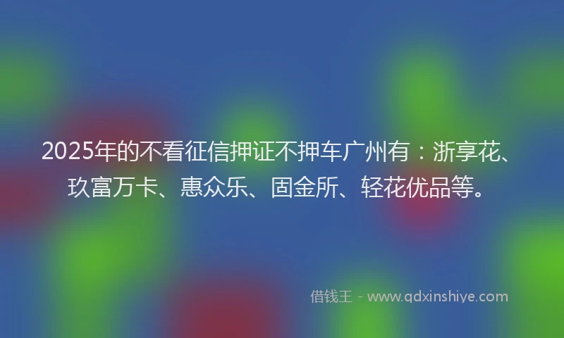 2025年的不看征信押证不押车广州有：浙享花、玖富万卡、惠众乐、固金所、轻花优品等。