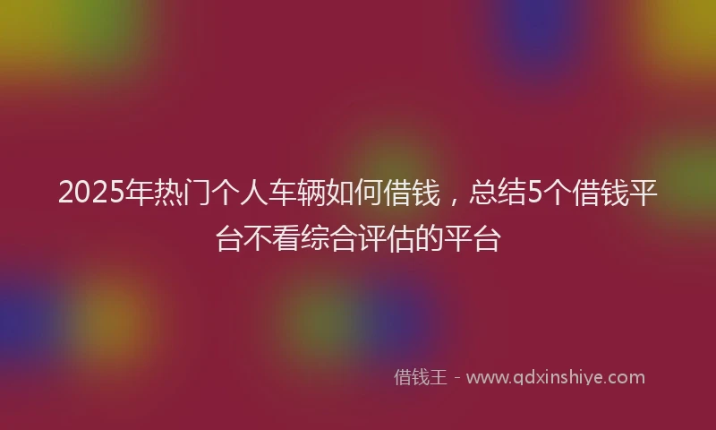 2025年热门个人车辆如何借钱，总结5个借钱平台不看综合评估的平台