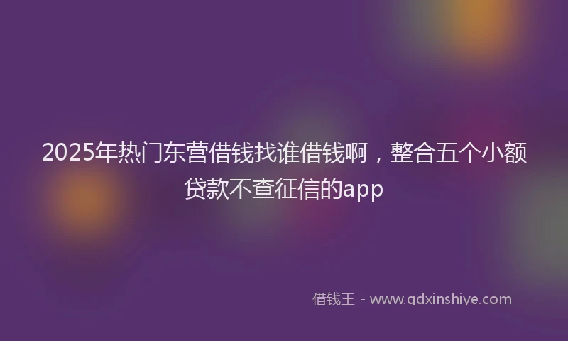 2025年热门东营借钱找谁借钱啊，整合五个小额贷款不查征信的app