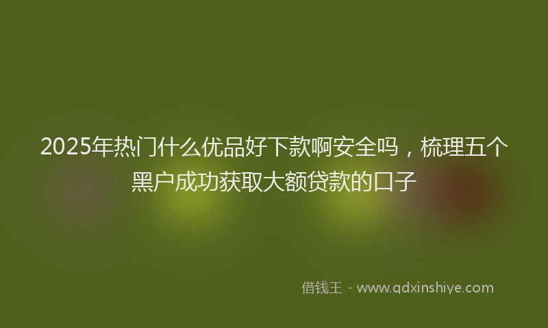 2025年热门什么优品好下款啊安全吗，梳理五个黑户成功获取大额贷款的口子