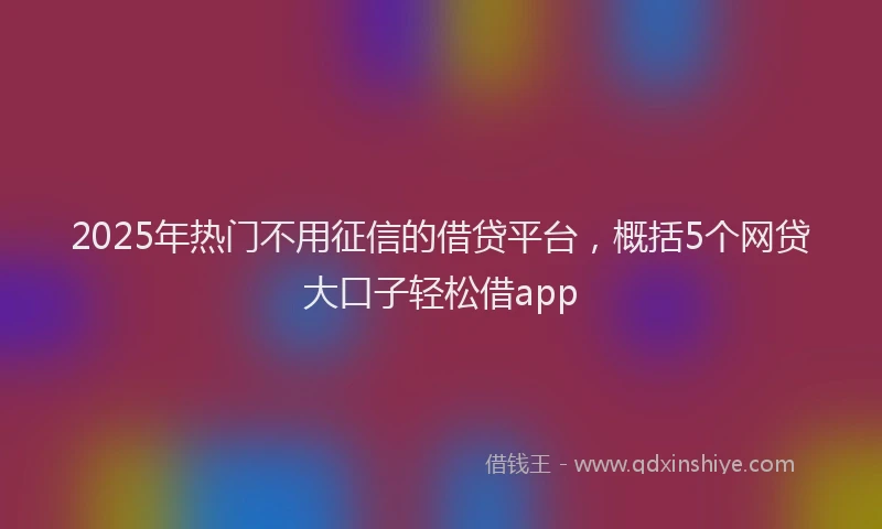 2025年热门不用征信的借贷平台，概括5个网贷大口子轻松借app
