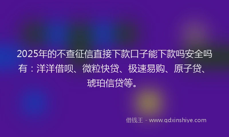 2025年的不查征信直接下款口子能下款吗安全吗有：洋洋借呗、微粒快贷、极速易购、原子贷、琥珀信贷等。
