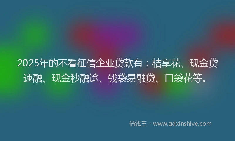 2025年的不看征信企业贷款有：桔享花、现金贷速融、现金秒融途、钱袋易融贷、口袋花等。