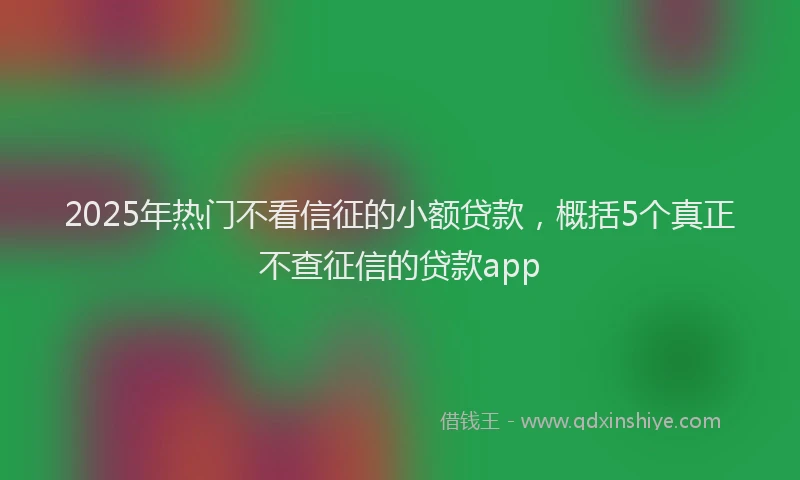2025年热门不看信征的小额贷款，概括5个真正不查征信的贷款app