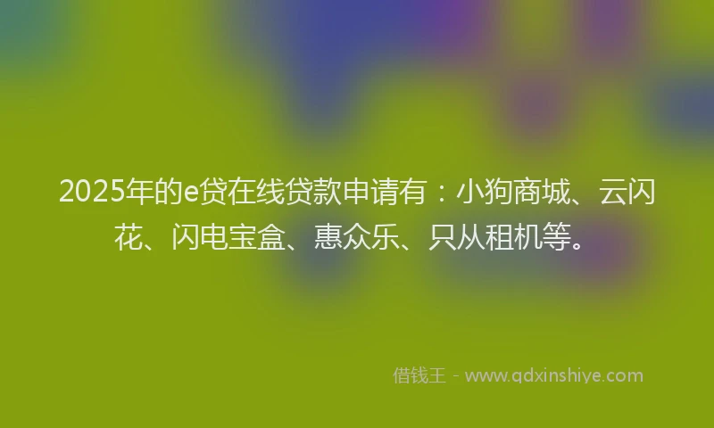 2025年的e贷在线贷款申请有：小狗商城、云闪花、闪电宝盒、惠众乐、只从租机等。