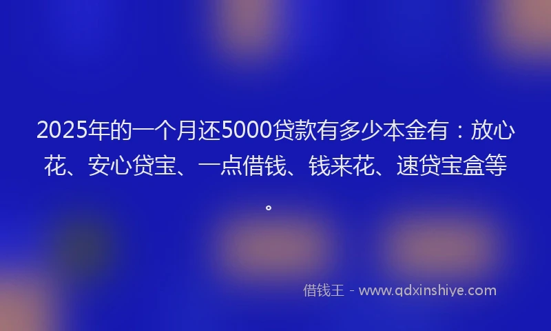 2025年的一个月还5000贷款有多少本金有：放心花、安心贷宝、一点借钱、钱来花、速贷宝盒等。