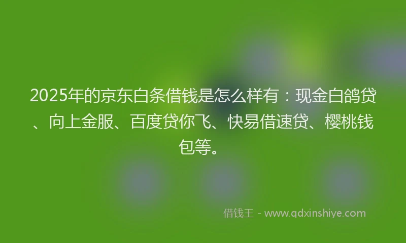 2025年的京东白条借钱是怎么样有：现金白鸽贷、向上金服、百度贷你飞、快易借速贷、樱桃钱包等。