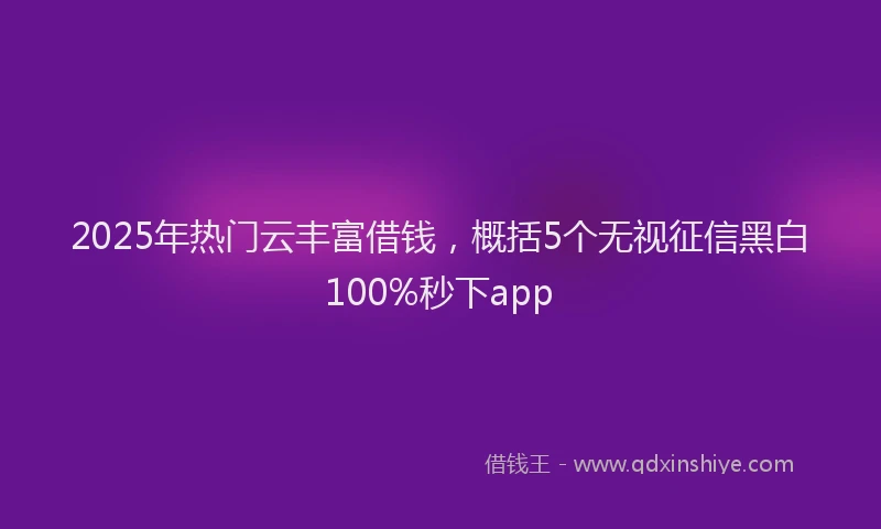 2025年热门云丰富借钱，概括5个无视征信黑白100%秒下app