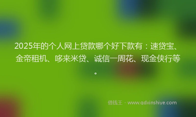 2025年的个人网上贷款哪个好下款有：速贷宝、金帝租机、哆来米贷、诚信一周花、现金侠行等。