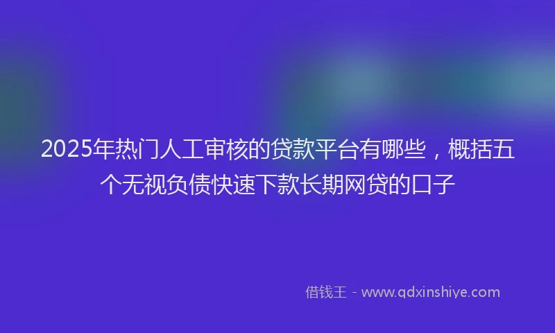 2025年热门人工审核的贷款平台有哪些，概括五个无视负债快速下款长期网贷的口子