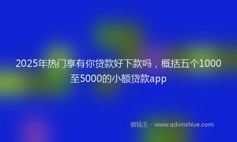 2025年热门享有你贷款好下款吗，概括五个1000至5000的小额贷款app