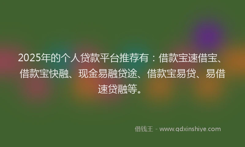 2025年的个人贷款平台推荐有：借款宝速借宝、借款宝快融、现金易融贷途、借款宝易贷、易借速贷融等。