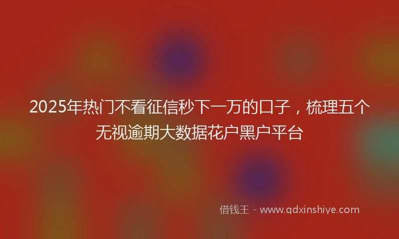 2025年热门不看征信秒下一万的口子，梳理五个无视逾期大数据花户黑户平台