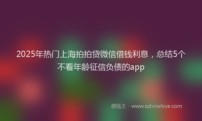 2025年热门上海拍拍贷微信借钱利息，总结5个不看年龄征信负债的app