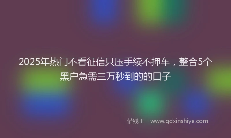 2025年热门不看征信只压手续不押车，整合5个黑户急需三万秒到的的口子