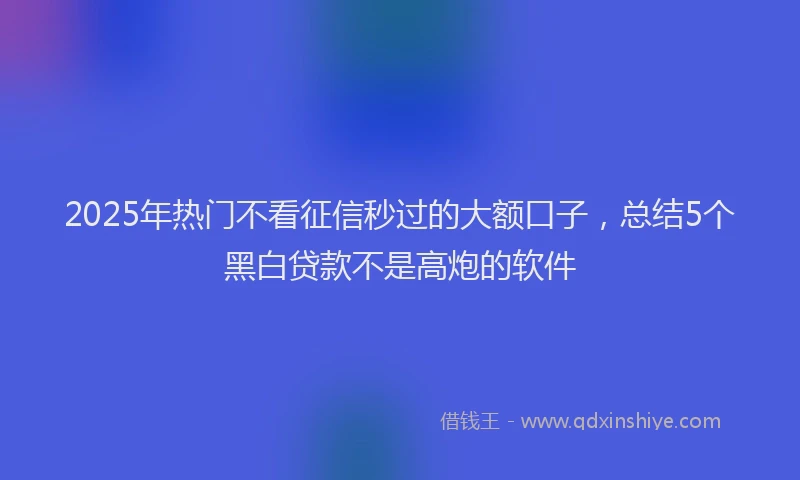 2025年热门不看征信秒过的大额口子，总结5个黑白贷款不是高炮的软件