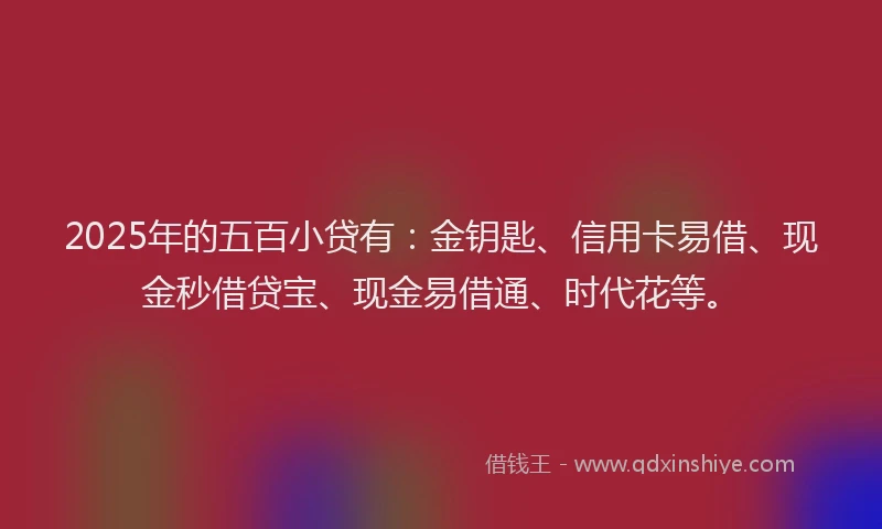 2025年的五百小贷有：金钥匙、信用卡易借、现金秒借贷宝、现金易借通、时代花等。