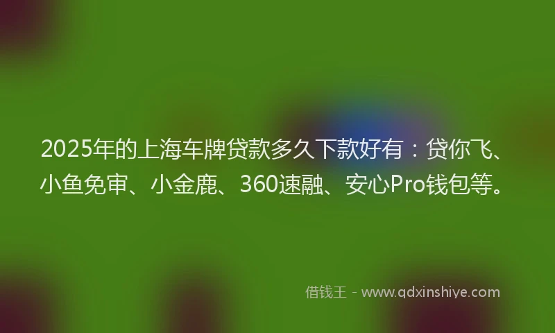2025年的上海车牌贷款多久下款好有：贷你飞、小鱼免审、小金鹿、360速融、安心Pro钱包等。