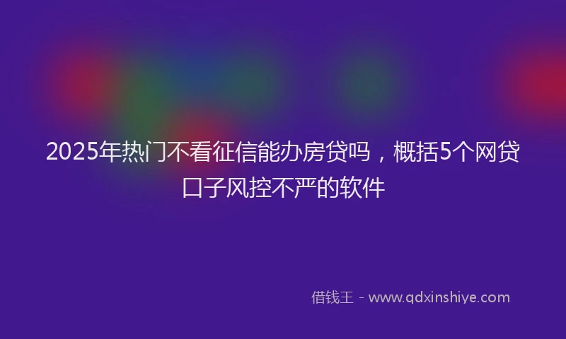 2025年热门不看征信能办房贷吗，概括5个网贷口子风控不严的软件