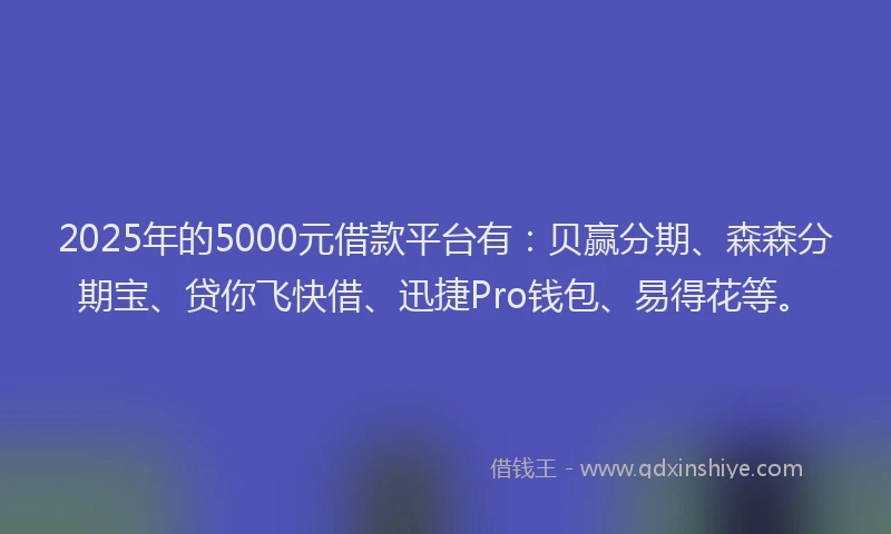 2025年的5000元借款平台有：贝赢分期、森森分期宝、贷你飞快借、迅捷Pro钱包、易得花等。
