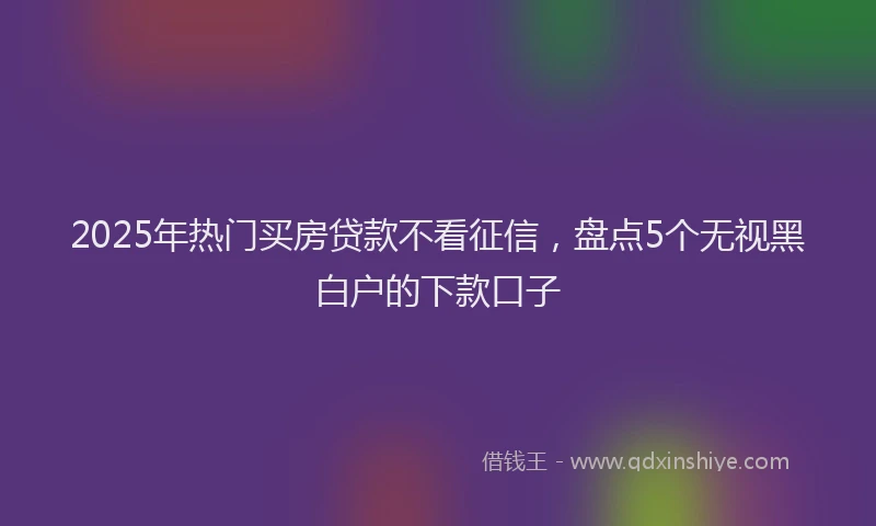2025年热门买房贷款不看征信，盘点5个无视黑白户的下款口子