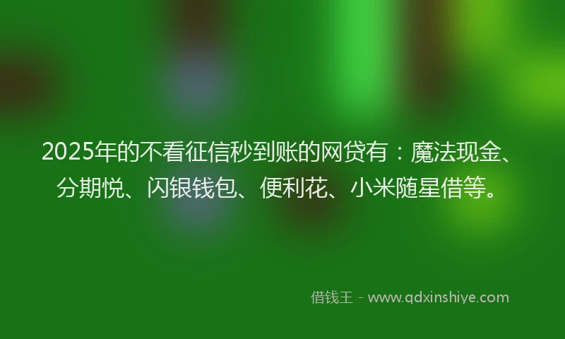2025年的不看征信秒到账的网贷有：魔法现金、分期悦、闪银钱包、便利花、小米随星借等。
