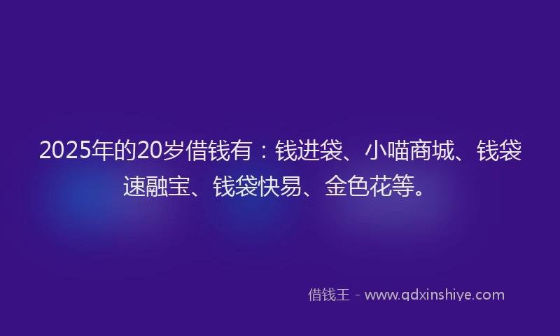 2025年的20岁借钱有：钱进袋、小喵商城、钱袋速融宝、钱袋快易、金色花等。