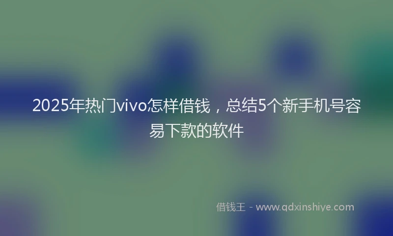 2025年热门vivo怎样借钱，总结5个新手机号容易下款的软件